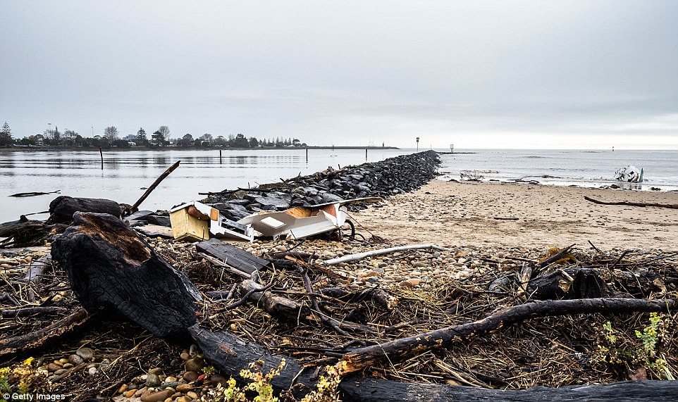 34fe48d900000578-3628952-the_coastline_appeared_to_be_littered_with_debris_washed_ashore_-a-58_1465292916361