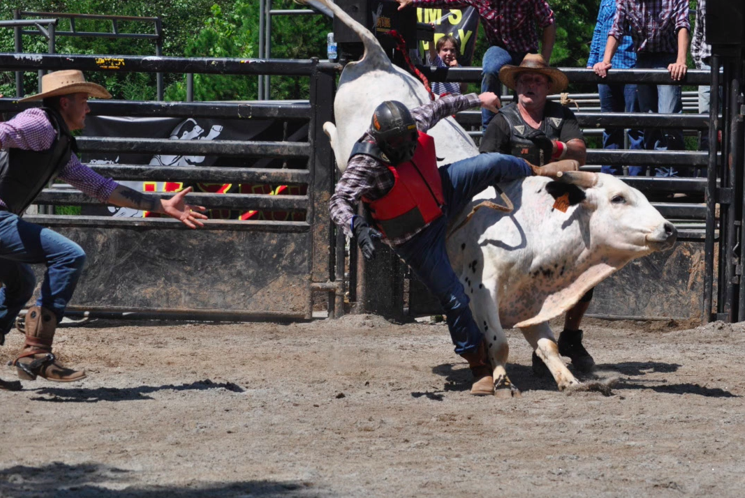 Bull Ride 3